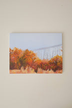 Higher Levels Greeting Card