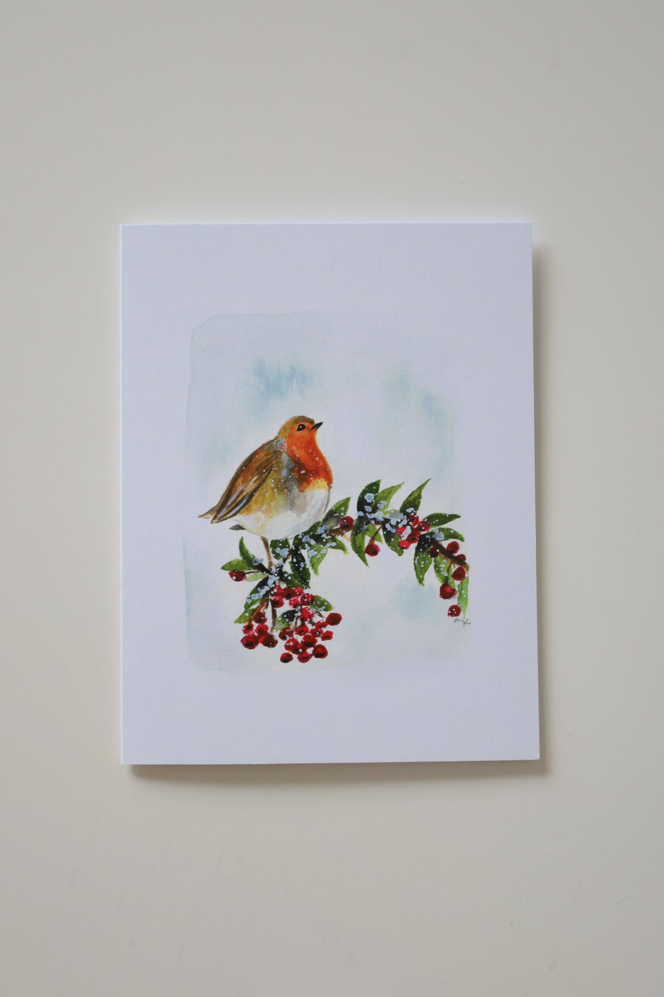 Winter Robin Greeting Card