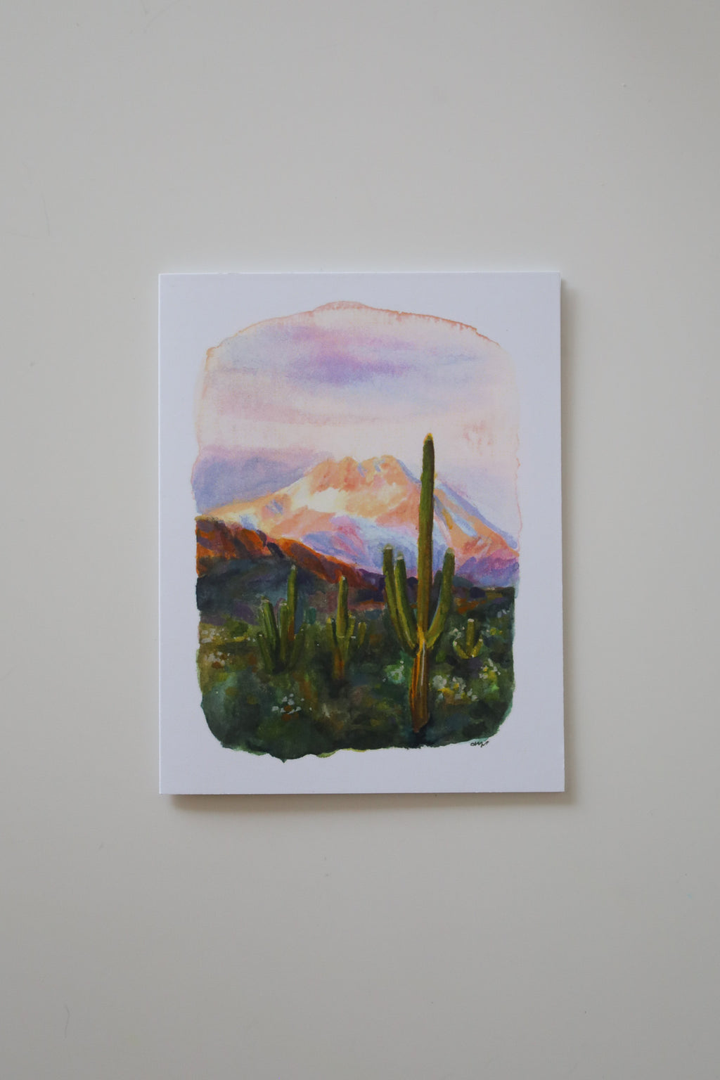 Arizona Days Greeting Card