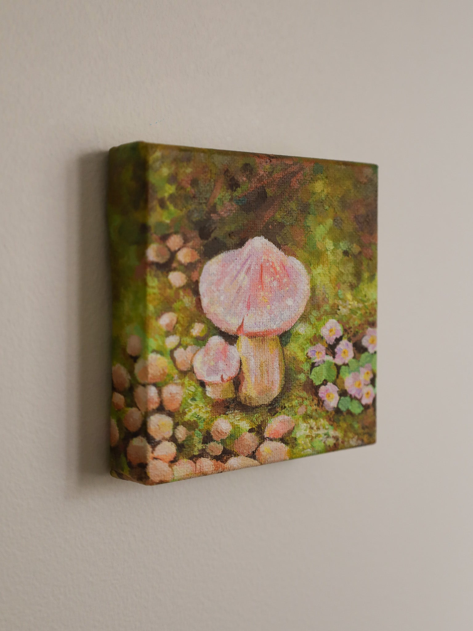 Fairy's Corner