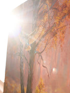 On the Wings of Autumn