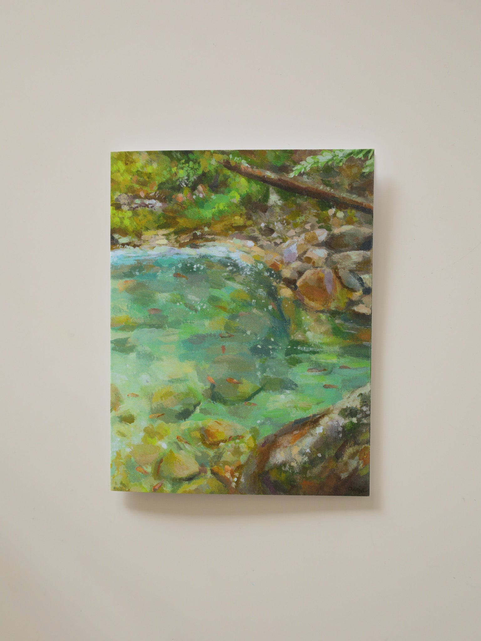 Salmon in the Stream Greeting Card