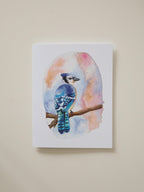 Bright Blue Jay Greeting Card