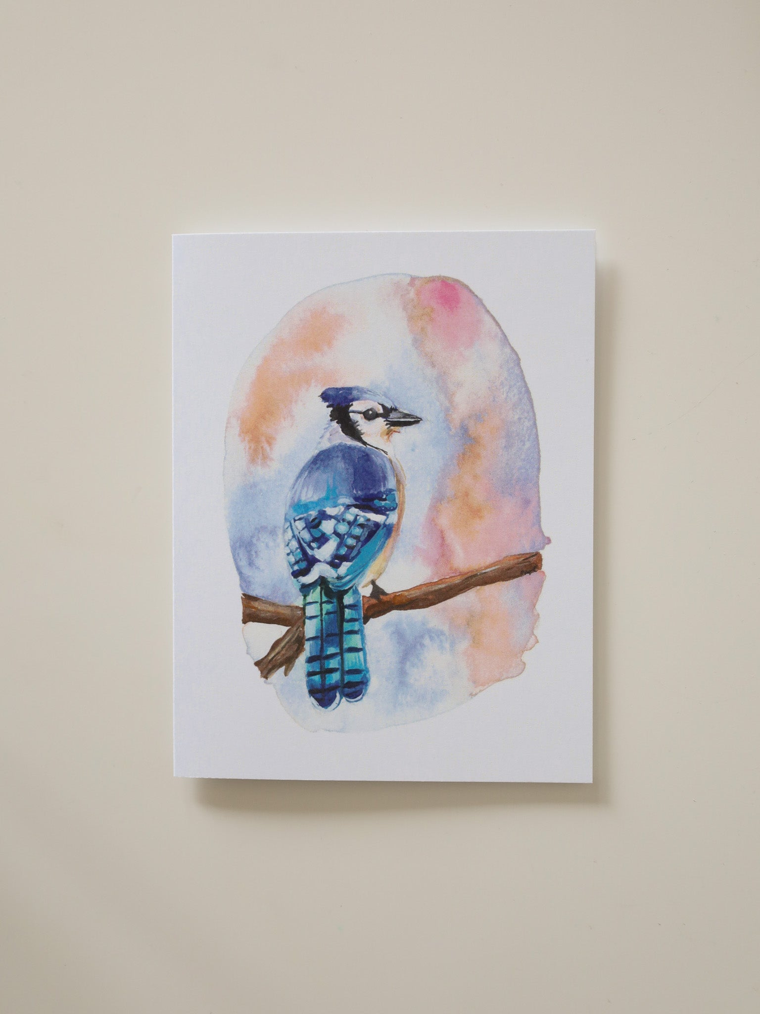 Bright Blue Jay Greeting Card