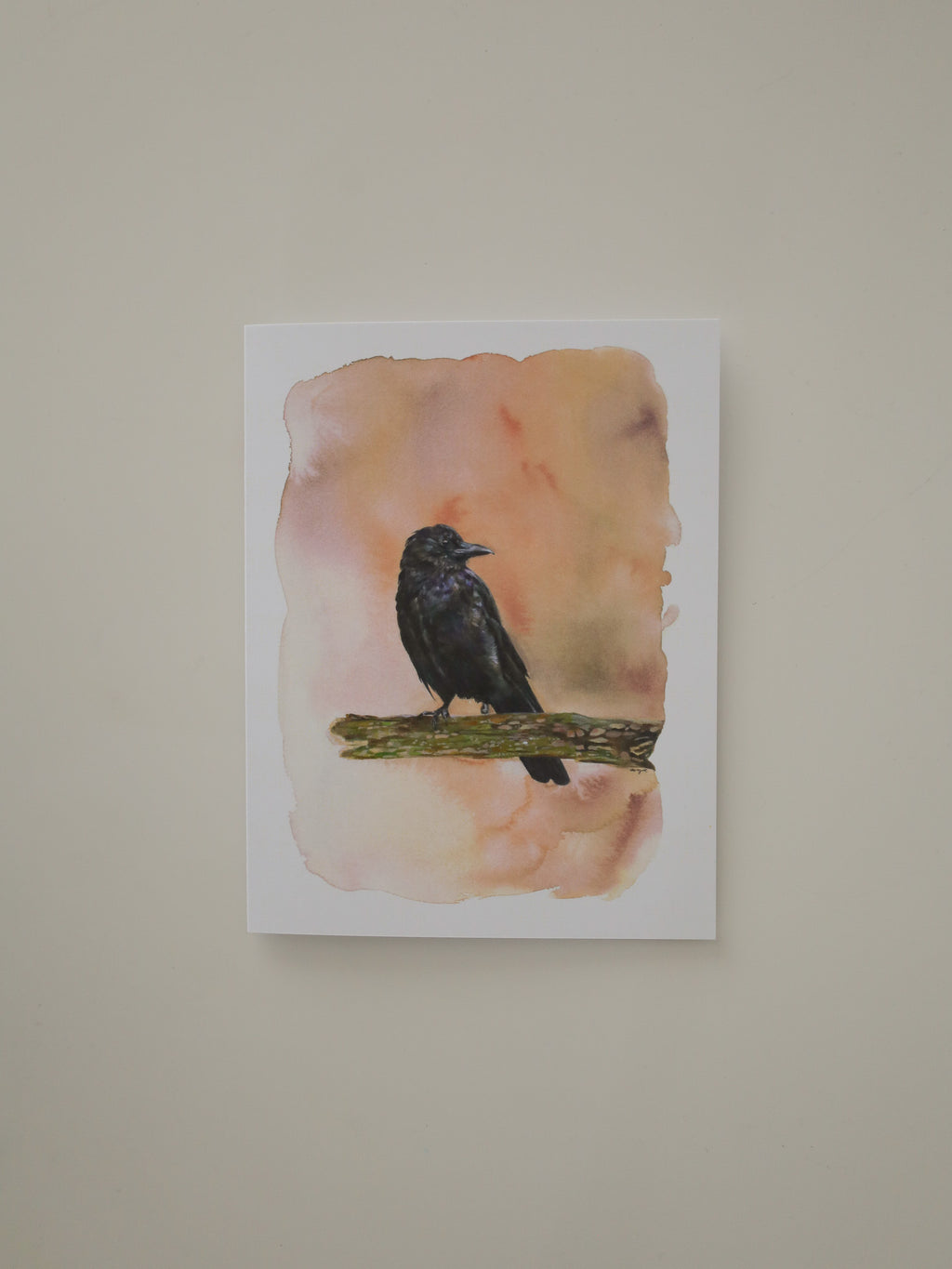 Soar Across Alberta Greeting Cards 10 Pack