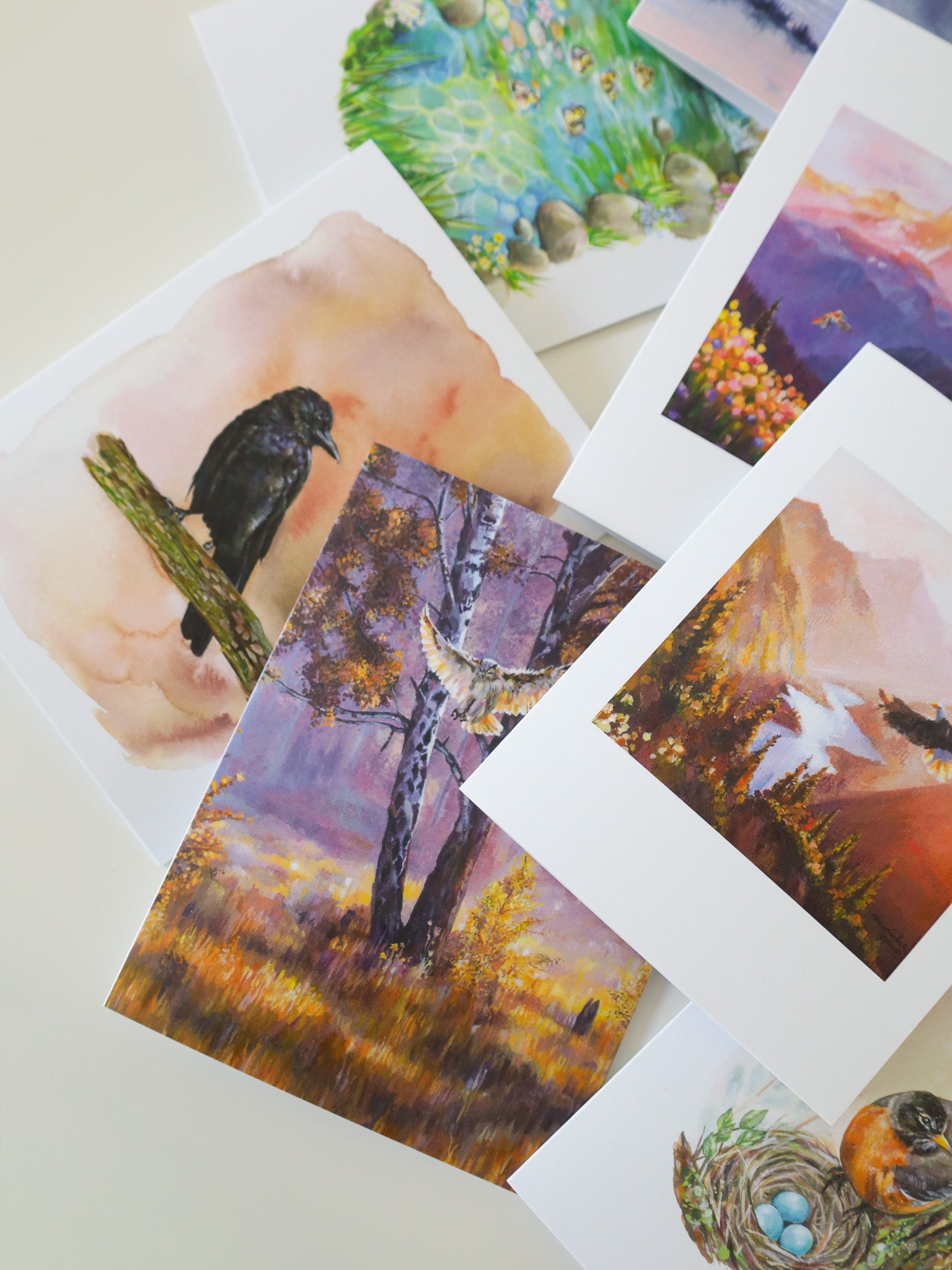 Soar Across Alberta Greeting Cards 10 Pack